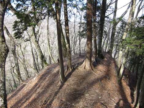 20200110hike (92)